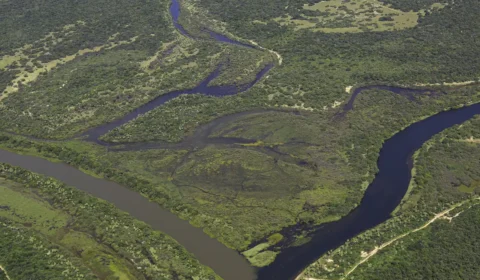 Maior parte da Mata Atlântica tem menos de 30% de vegetação nativa