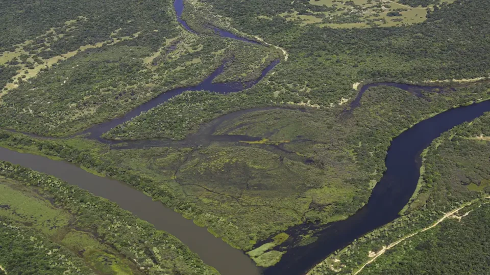 Maior parte da Mata Atlântica tem menos de 30% de vegetação nativa