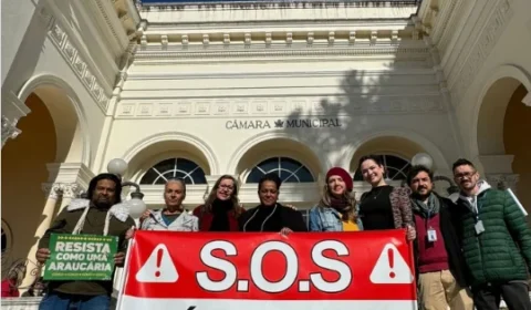 Curitiba prevê derrubar mais de 1 mil árvores com obra e deixa moradores apreensivos