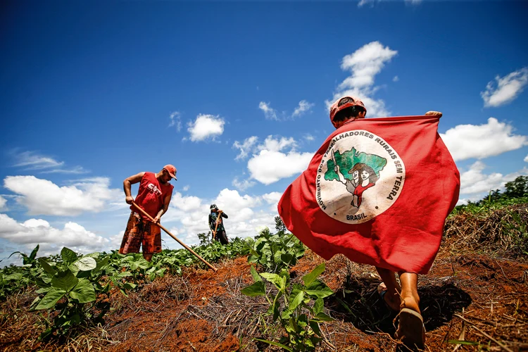 Trabalhadores do MST em área rural ocupada. Foto: Cristiano Mariz