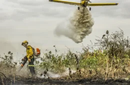 Pantanal: redução da área alagada tem favorecido aumento de incêndios