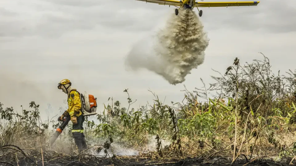 Pantanal: redução da área alagada tem favorecido aumento de incêndios