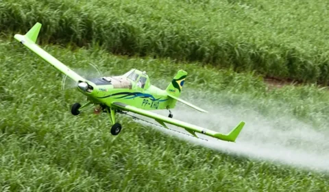 STF debate hoje se é constitucional a isenção de impostos sobre agrotóxicos