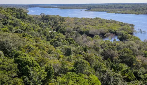 Desmatamento na Amazônia cai 30,6%, com menor área devastada em 9 anos