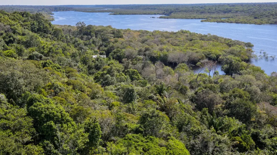 Desmatamento na Amazônia cai 30,6%, com menor área devastada em 9 anos