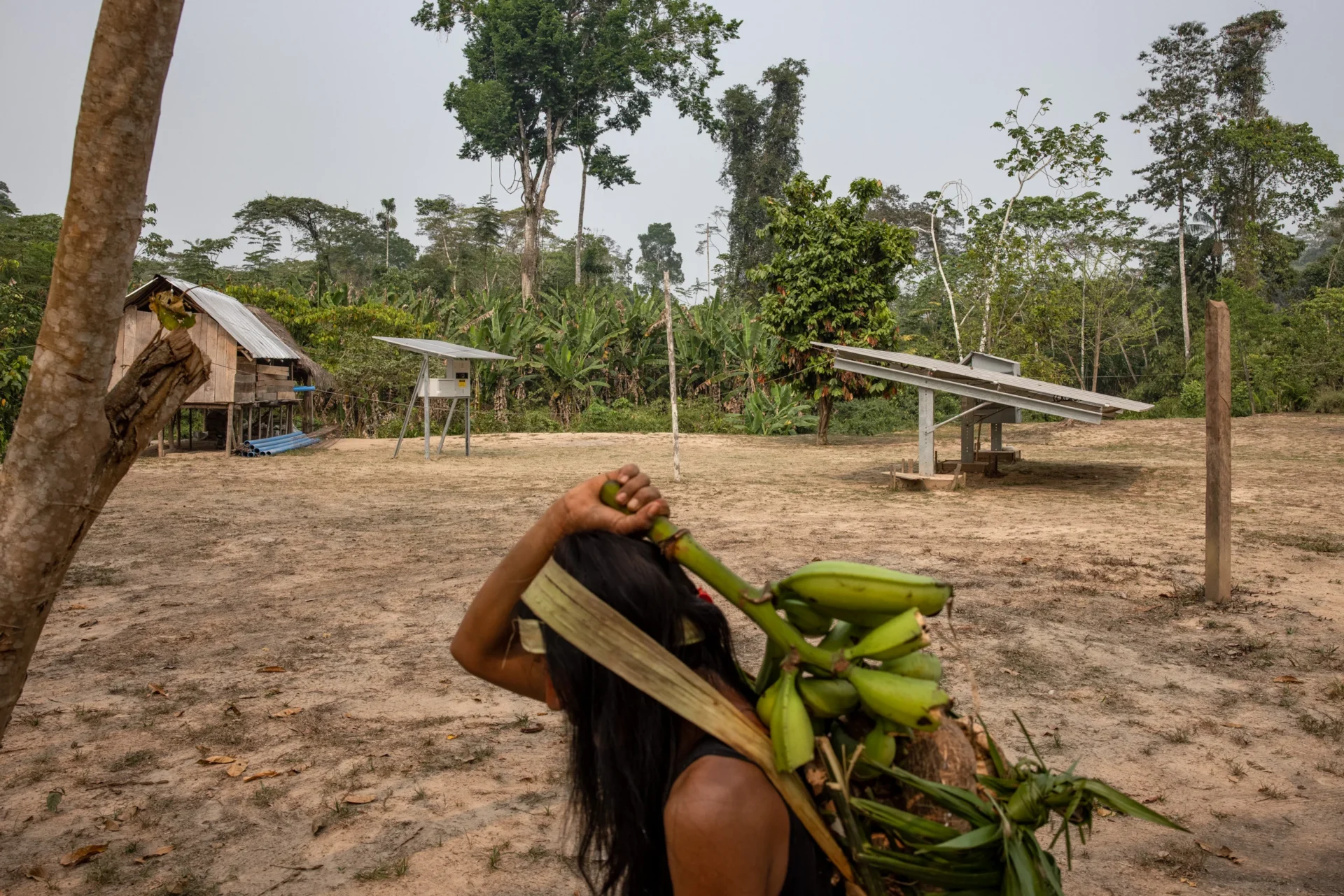 Mulher carrega bananas e mandioca, principais fontes de sustento da comunidade Macuã, na Amazônia. A aldeia, composta por apenas três casas de madeira, alguns painéis solares e pequenos áreas para cultivo de alimentos, é onde Xinã Yura, de 33 anos, fez sua iniciação como pajé no território indígena Yawanawá (Imagem: Victor Moriyama / Dialogue Earth)