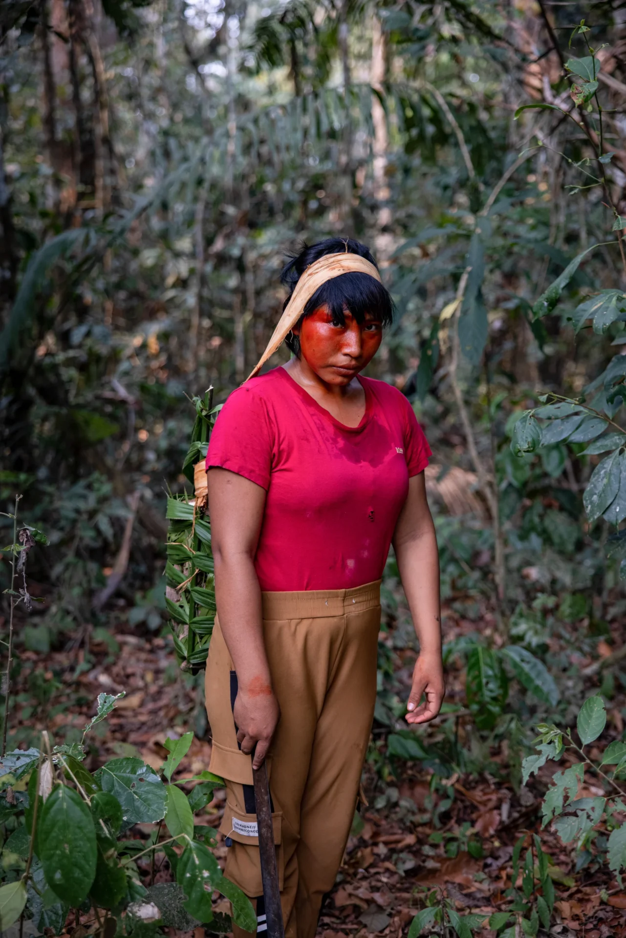 Meyö Kamanawá, esposa de Pocha, colhe raízes de mandioca para preparar kaissuma, mingau de mandioca cozida. Esse mingau será a base da dieta de Xinã e Érica pelos próximos seis meses (Imagem: Victor Moriyama / Dialogue Earth)