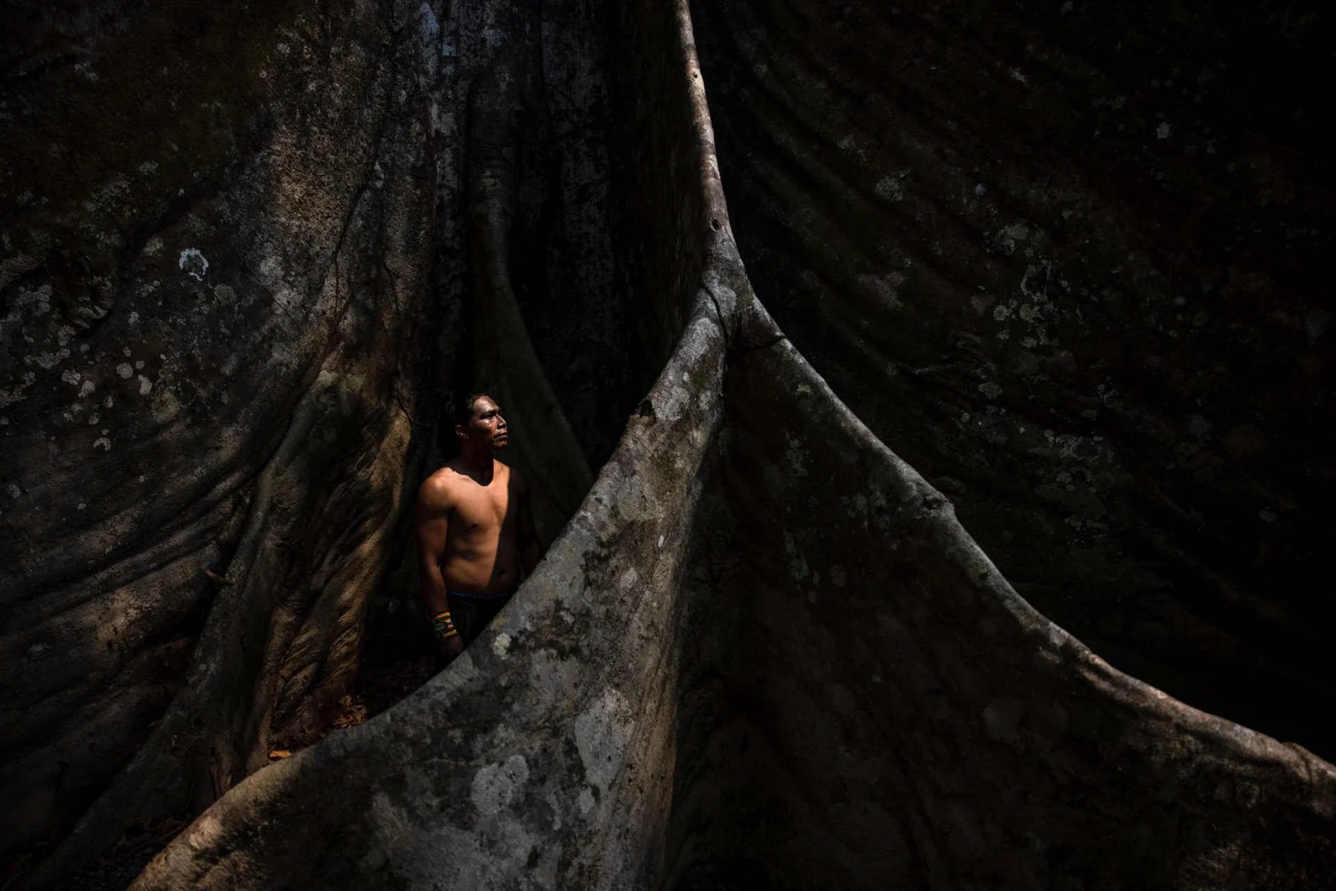 Xinã Yura aos pés de uma sumaúma, árvore sagrada para os povos Yawanawá e Noke Kuin, do Acre, enquanto se prepara para se tornar um líder espiritual e curandeiro — além de guardião de tradições indígenas, o pajé também contribuir para a preservação da floresta (Imagem: Victor Moriyama / Dialogue Earth)