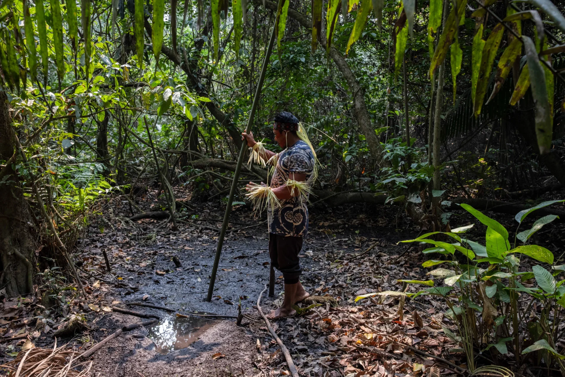 Tani mergulha uma longa vara na lama para mostrar as profundezas do solo pantanoso. Ele explica que as cobras sagradas dormem sob essas áreas lamacentas até o meio-dia, quando a terra fica muito quente (Imagem: Victor Moriyama / Dialogue Earth)