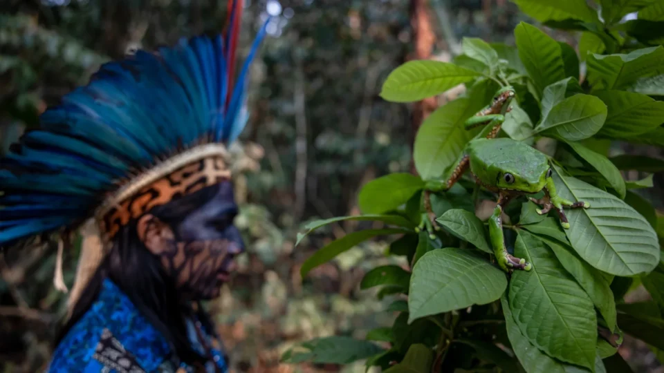 ‘A cura está na floresta’: A jornada de um pajé na Amazônia brasileira