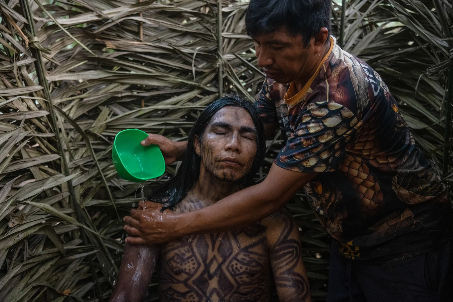 Pajé Pocha dá banho de ervas em Xinã como parte do ritual de limpeza, que prepara o futuro pajé para receber os sonhos, as tradições orais e as visões induzidas pela ayahuasca — elementos fundamentais da iniciação (Imagem: Victor Moriyama / Dialogue Earth)