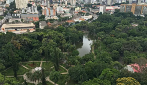 Cidades sustentáveis: alternativa urbana para reduzir as mudanças climáticas