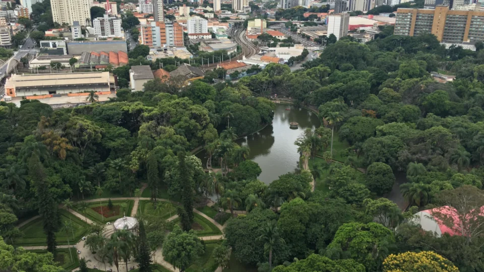 Cidades sustentáveis: alternativa urbana para reduzir as mudanças climáticas