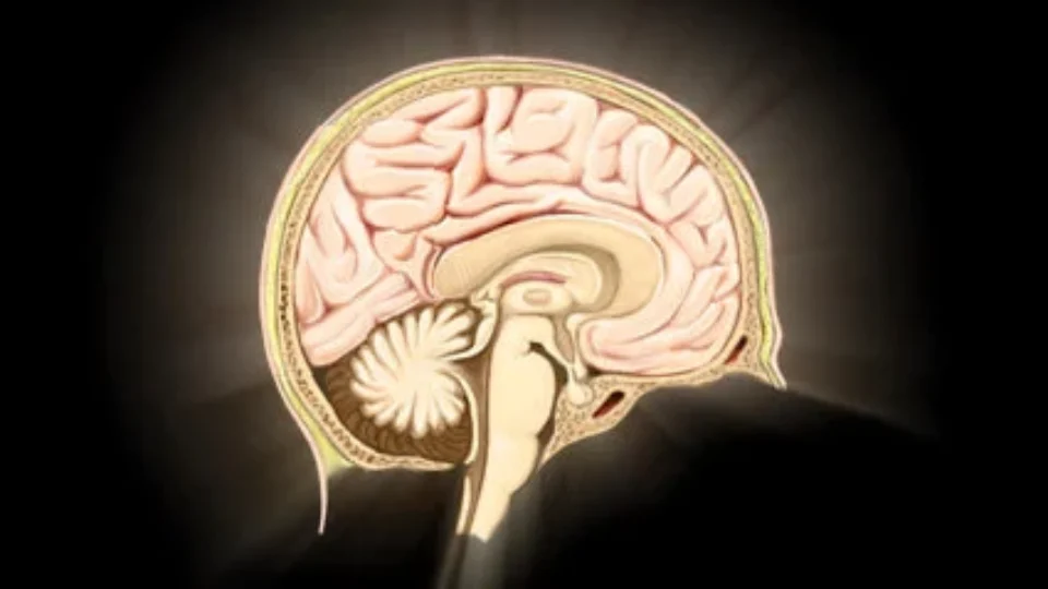 Saiba o que é uma craniotomia, procedimento pelo qual passou o presidente Lula