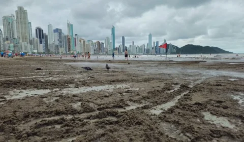 Poluição nas praias de Balneário Camboriú, cidade bolsonarista, gera debate nas redes