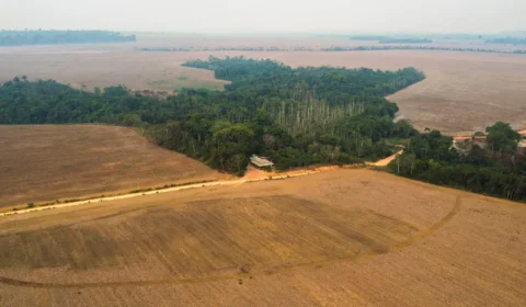 Cercadas pelo veneno, comunidades rurais estão desaparecendo junto com a Amazônia