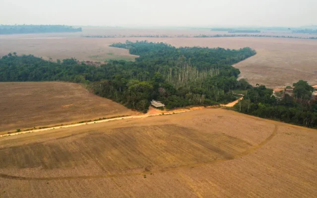 Cercadas pelo veneno, comunidades rurais estão desaparecendo junto com a Amazônia