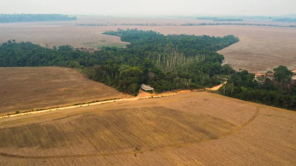 Cercadas pelo veneno, comunidades rurais estão desaparecendo junto com a Amazônia