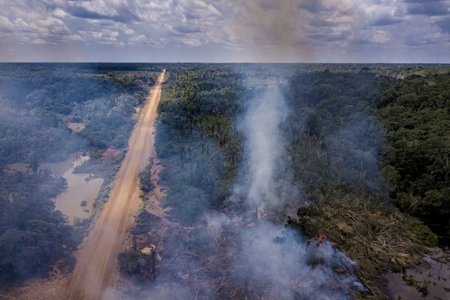 Segundo a Constituição de 1988, uma propriedade precisa respeitar a legislação ambiental para cumprir a “função social” (Foto: Fernando Martinho/ Repórter Brasil).