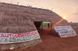 Guarani-Kaiowá resistem a ataques com tiros e agrotóxicos por retomada de terras em MS