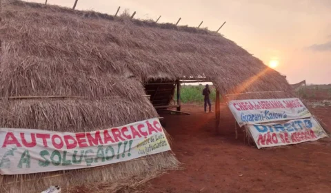 Guarani-Kaiowá resistem a ataques com tiros e agrotóxicos por retomada de terras em MS