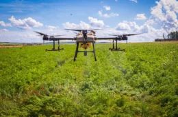 Drones respondem por 94% das contaminações por agrotóxicos no Maranhão