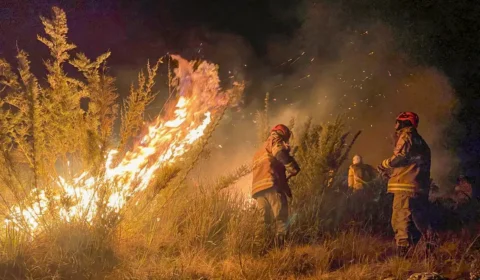 Com seca extrema, incêndios no Brasil aumentam em 79% em 2024