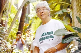 20 anos após morte de Dorothy Stang, PDSs da Amazônia perderam mais de 20% de floresta