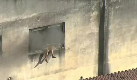 Incêndio atinge fábrica de fantasias na Zona Norte do RJ; 10 pessoas estão em estado grave