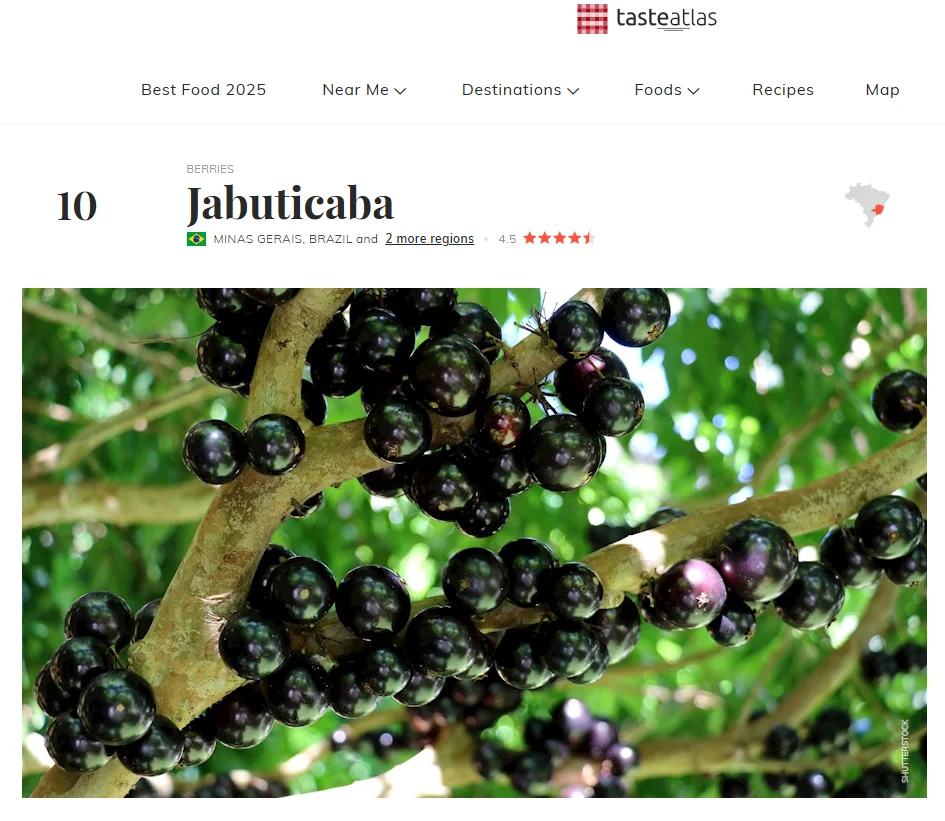 fruta jabuticaba no site taste atlas 