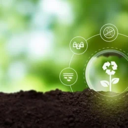 Economia circular na prática: o que é, como funciona e por que é importante