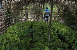 ‘Comida mais cara tem a ver com a falta de reforma agrária’, diz pesquisadora