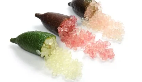Limão caviar: a fruta pouco conhecida no Brasil que pode custar até R$ 800 o quilo